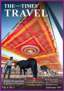 Travel - Volume 5 Issue 1 Cover Image