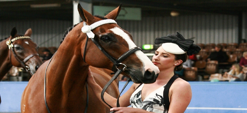 Fashions Off the Track