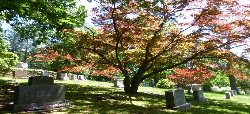Losing my head in Sleepy Hollow